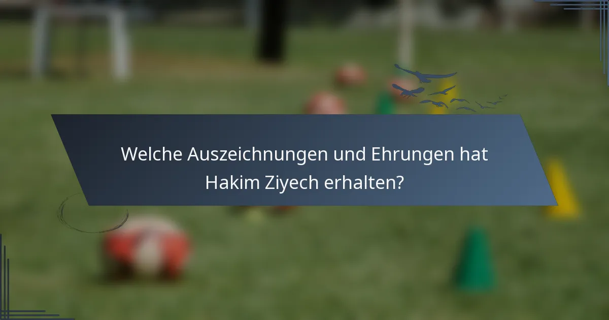 Welche Auszeichnungen und Ehrungen hat Hakim Ziyech erhalten?