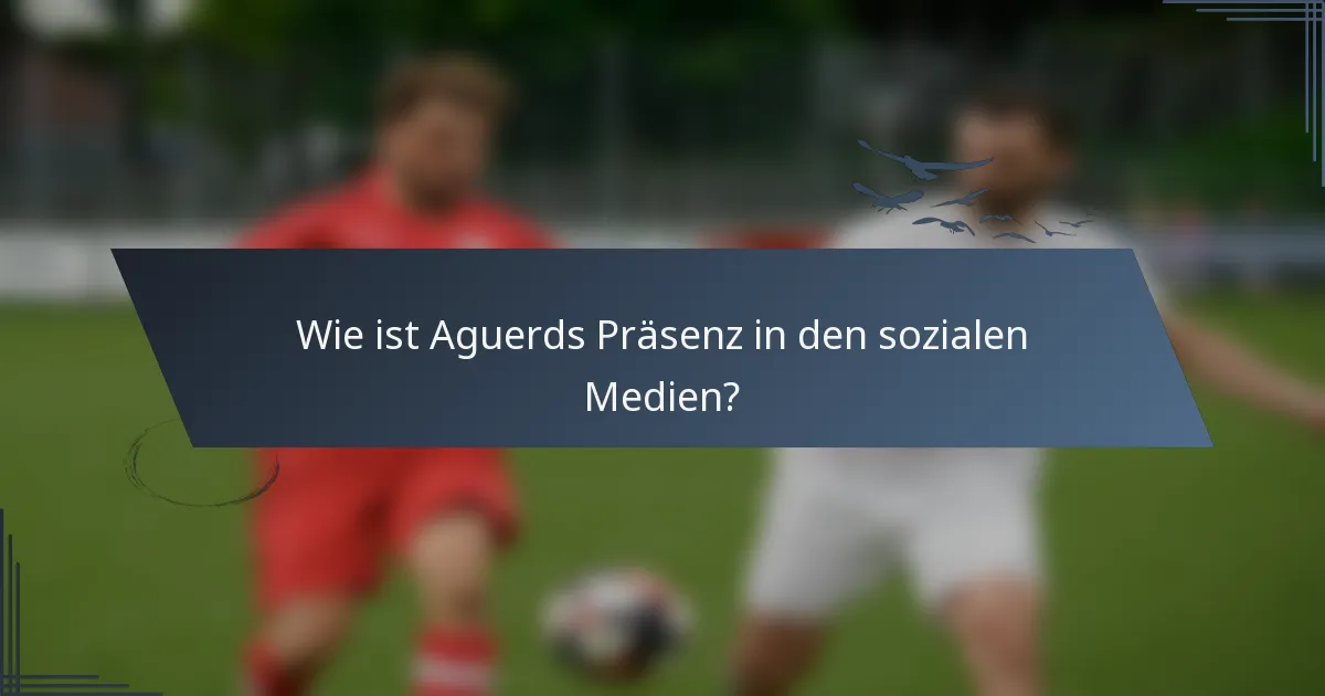 Wie ist Aguerds Präsenz in den sozialen Medien?